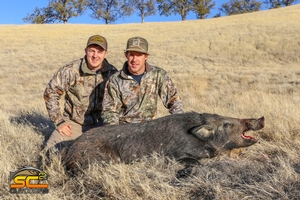 Nate's Wild Boar taken in November on a Bear/Pig Combination Hunt 2018